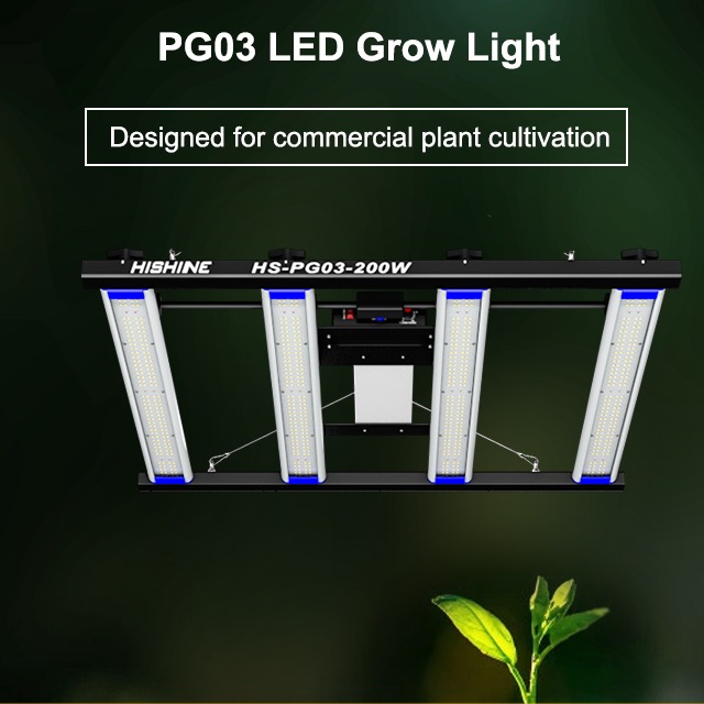 How To Prevent LED Grow Lights From Burning Your Plants?